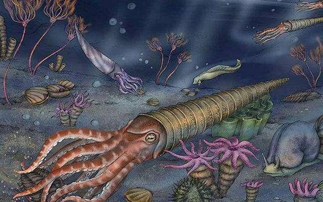 泥盆紀化石寶庫重現貴州，83種遠古海洋生物揭示生命演化與醫藥研發新曙光